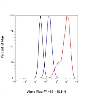 Anti-AFP Rabbit mAb