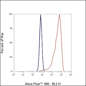 Anti-p75NTR Mouse mAb