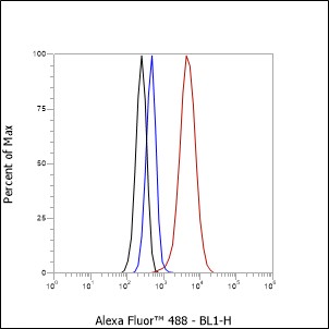 Anti-LDL Receptor Rabbit mAb
