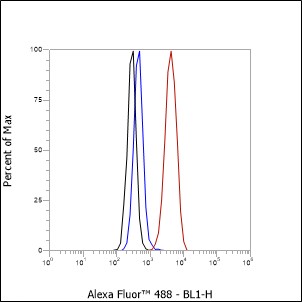 Anti-GOSR1/GS28 Rabbit mAb