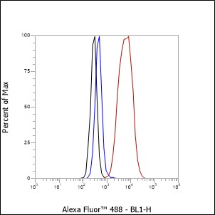 Anti-DPEP3 Rabbit mAb