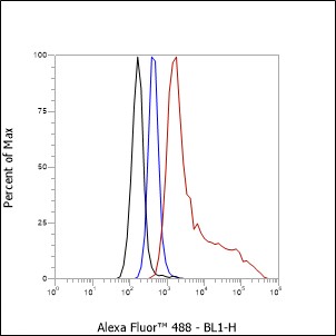 Anti-S100A8 Rabbit mAb
