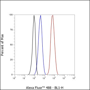 Anti-CD71 Rabbit mAb