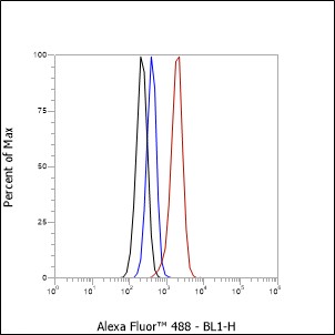 Anti-Vitronectin/S-Protein Rabbit mAb