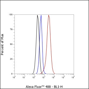 Anti-GLUT2 Rabbit mAb