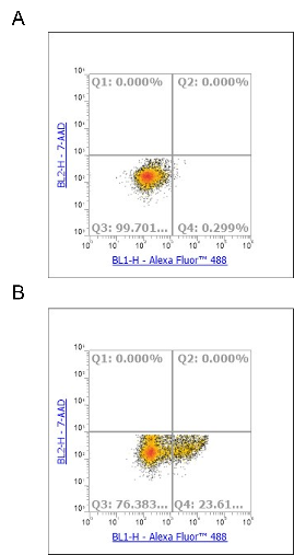 Anti-CD161 Mouse mAb