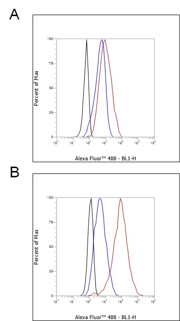 Anti-BAFF/TNFSF13B Mouse mAb