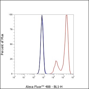 Anti-CD20 Mouse mAb