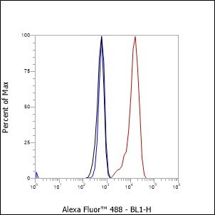 Anti-EpCAM Mouse mAb