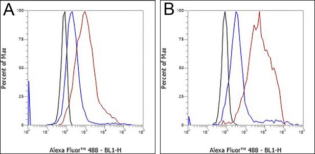 Anti-IL-9 Mouse mAb