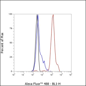 Anti-CD31 Rat mAb