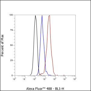 Anti-Chromogranin A Rabbit mAb