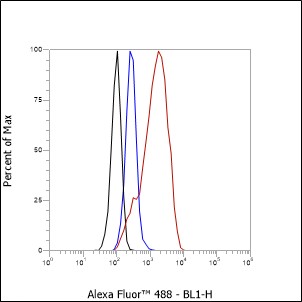 Anti-CDK6 Rabbit mAb