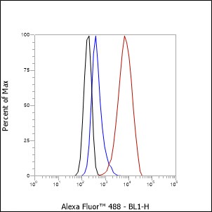 Anti-S100A1 Rabbit mAb