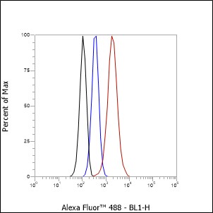 Anti-Ly-6K Rabbit mAb