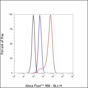 Anti-CD7 Rabbit mAb