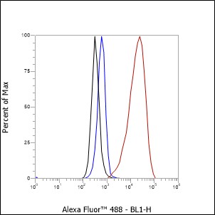 Anti-OLR1/LOX1 Rabbit mAb