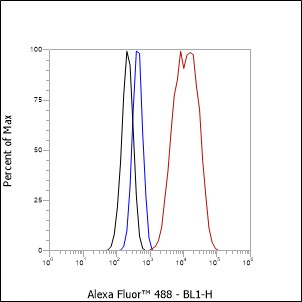 Anti-AFP Rabbit mAb