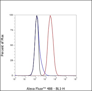 Anti-ADAM10 Mouse mAb