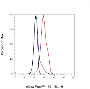 Anti-PTPRJ/DEP-1 Mouse mAb