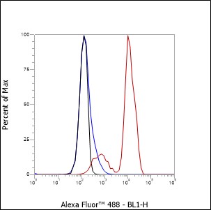 Anti-CD2 Mouse mAb