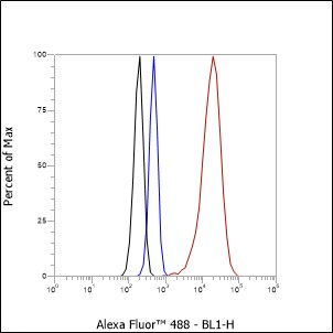 Anti-alpha-Synuclein Rabbit mAb