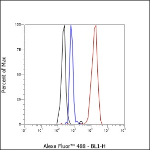 Anti-alpha-Synuclein Rabbit mAb