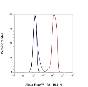 Anti-CD50/ICAM-3 Mouse mAb