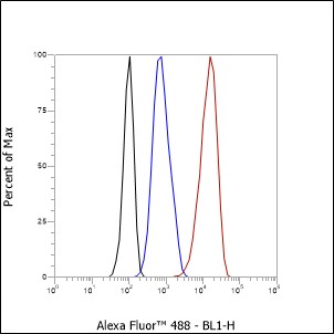 Anti-PKM2 Mouse mAb
