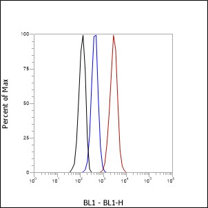 Anti-IGJ Rabbit mAb