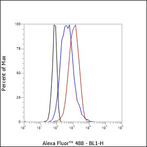 Anti-IGJ Rabbit mAb