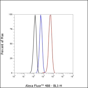 Anti-ATG9A Rabbit mAb