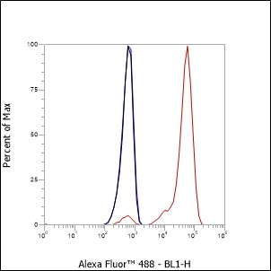 Anti-CD90/Thy1 Mouse mAb