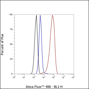 Anti-CHD3 Rabbit mAb