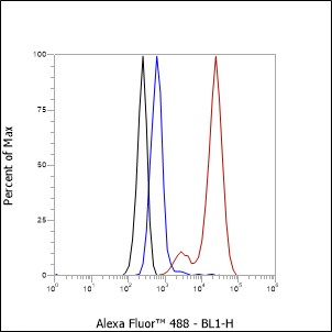 Anti-Transketolase Mouse mAb