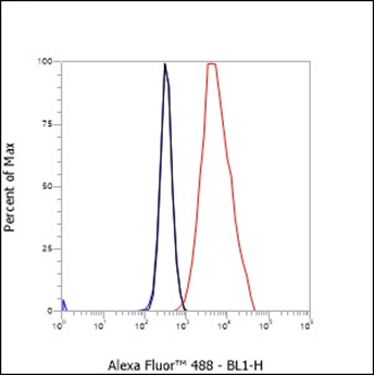 Anti-CEACAM1 Mouse mAb
