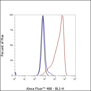 Anti-Integrin beta 4 Mouse mAb