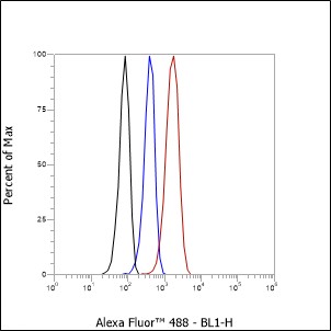 Anti-COX IV Mouse mAb