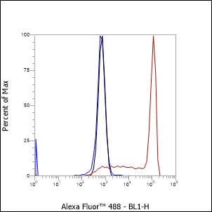 Anti-CD81 Mouse mAb