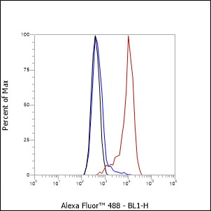 Anti-CD24 Rat mAb