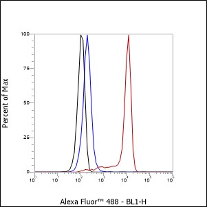 Anti-CD11b Mouse mAb