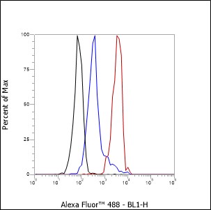 Anti-CEACAM1 Rabbit mAb
