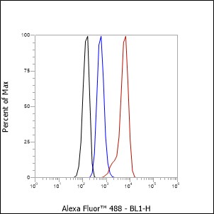 Anti-Gelsolin Rabbit mAb