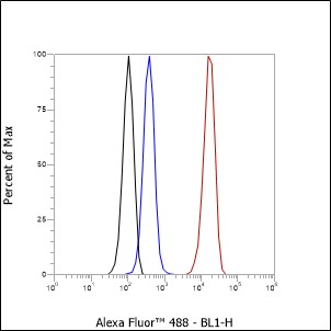 Anti-IL-4 Rabbit mAb