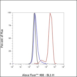 Anti-Glycophorin A Rabbit mAb
