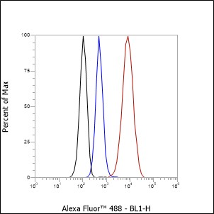 Anti-p75NTR Rabbit mAb