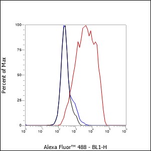 Anti-CD82 Mouse mAb