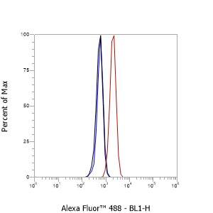 Anti-CD62P Mouse mAb
