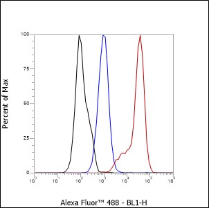 Anti-CD4 Rabbit mAb