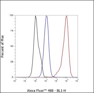 Anti-CD31 Rabbit mAb